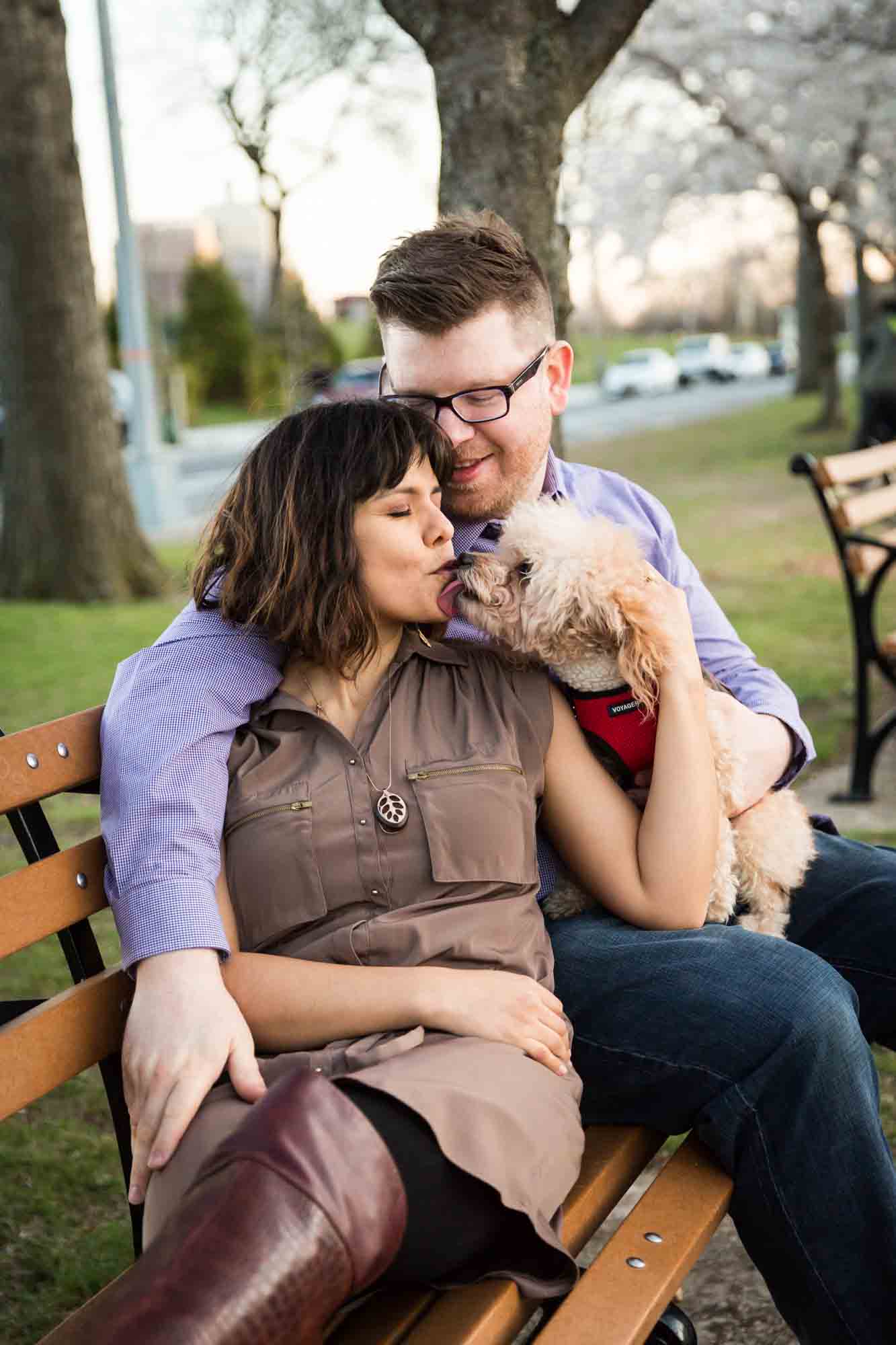 Roosevelt Island engagement portrait for an article on cherry blossom photo tips