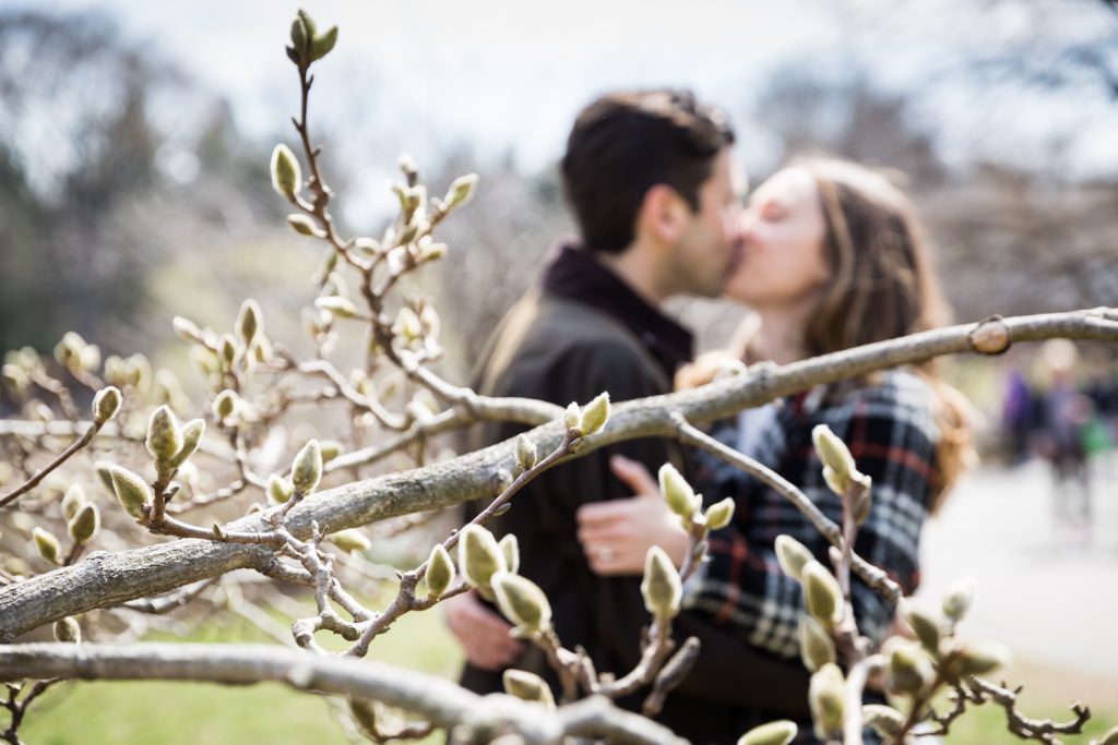 Branch with buds and couple kissing in background