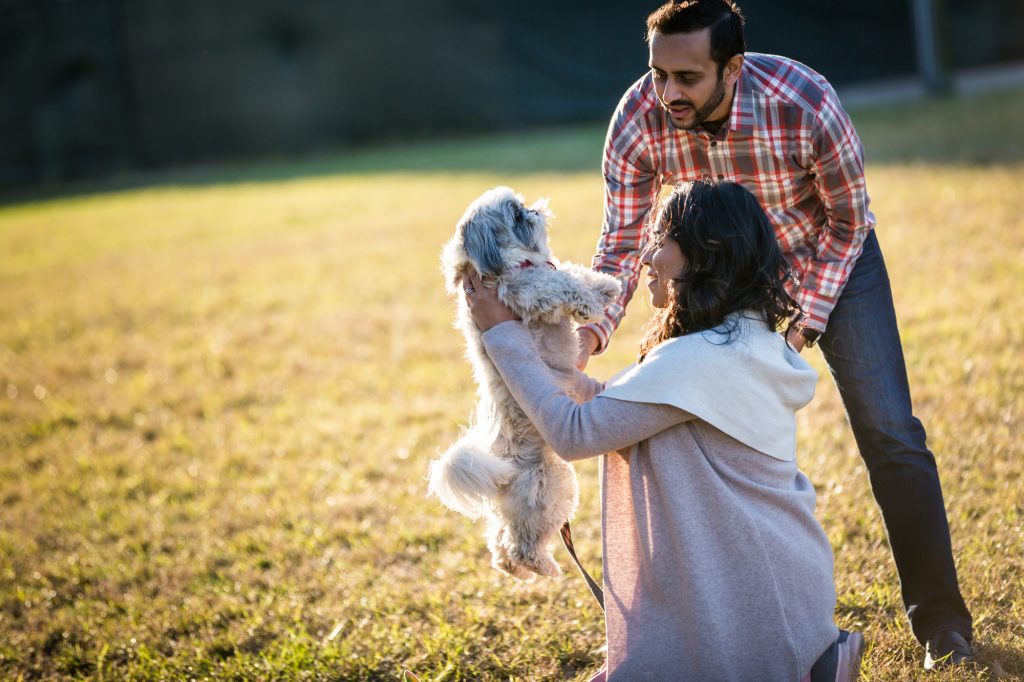 Mother-to-be, husband and dog playing for an article on maternity portrait tips