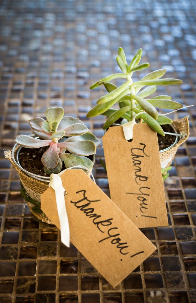 Two small metal containers with succulents for guest favors