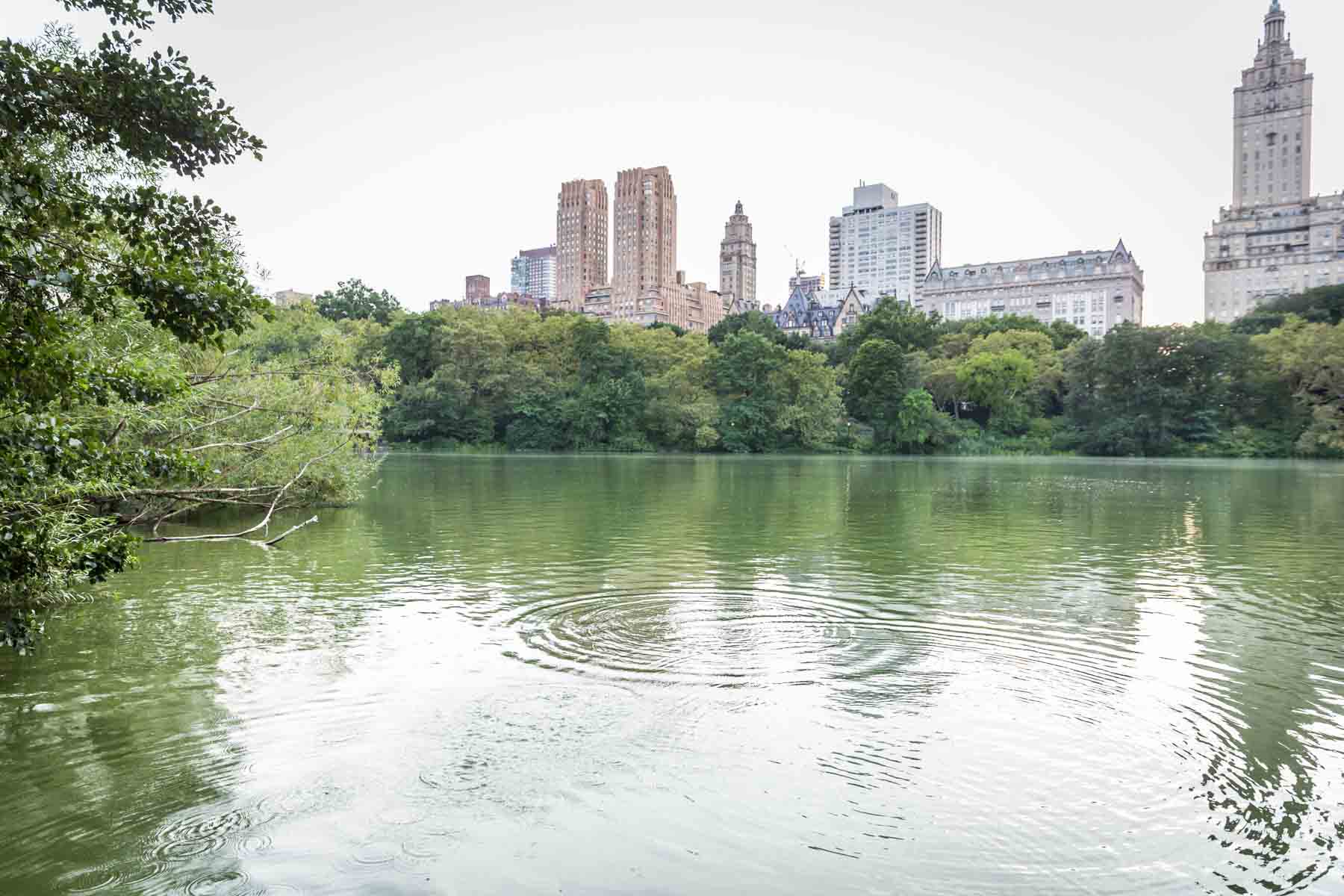 Ripples in Central Park lake for an article entitled, ‘Do you need a permit to get married in Central Park?’