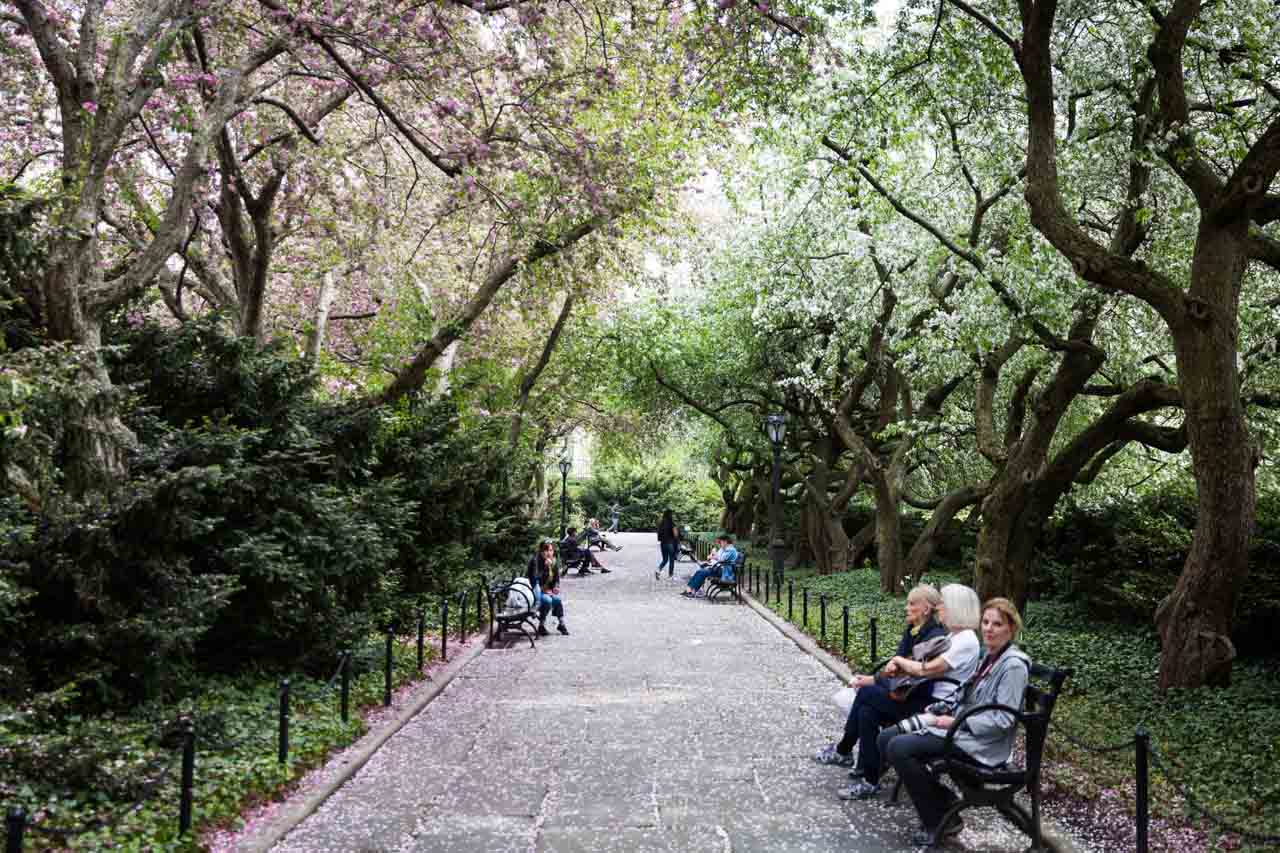Tree-covered walkways at a Central Park Conservatory Garden wedding