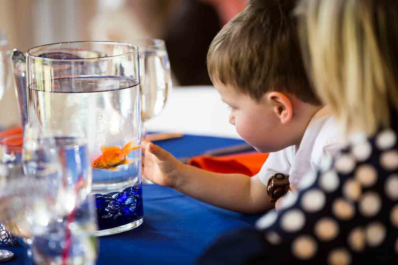 Child looking at fishbowl centerpiece Here are a few more non-floral centerpiece ideas:
