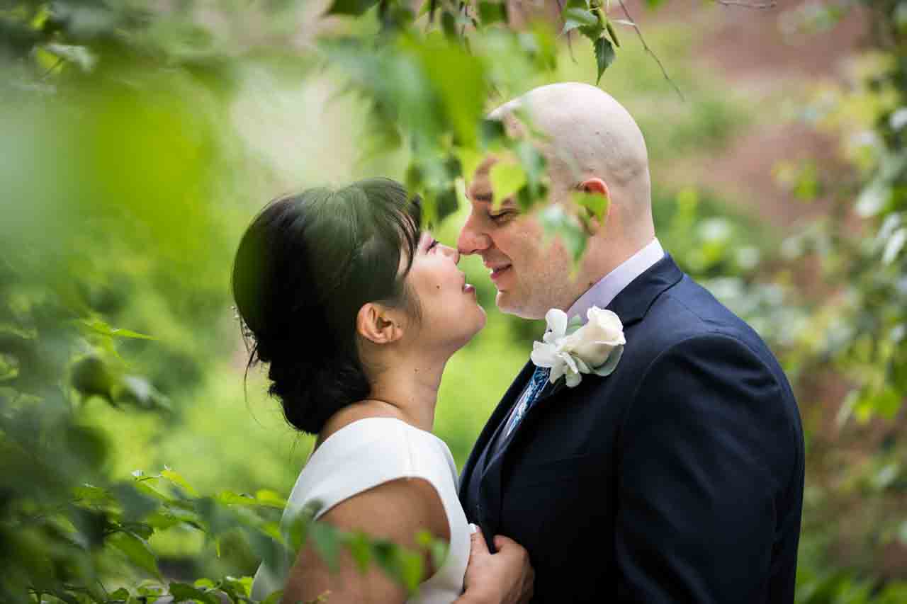 View through leaves of bride and groom about to kiss