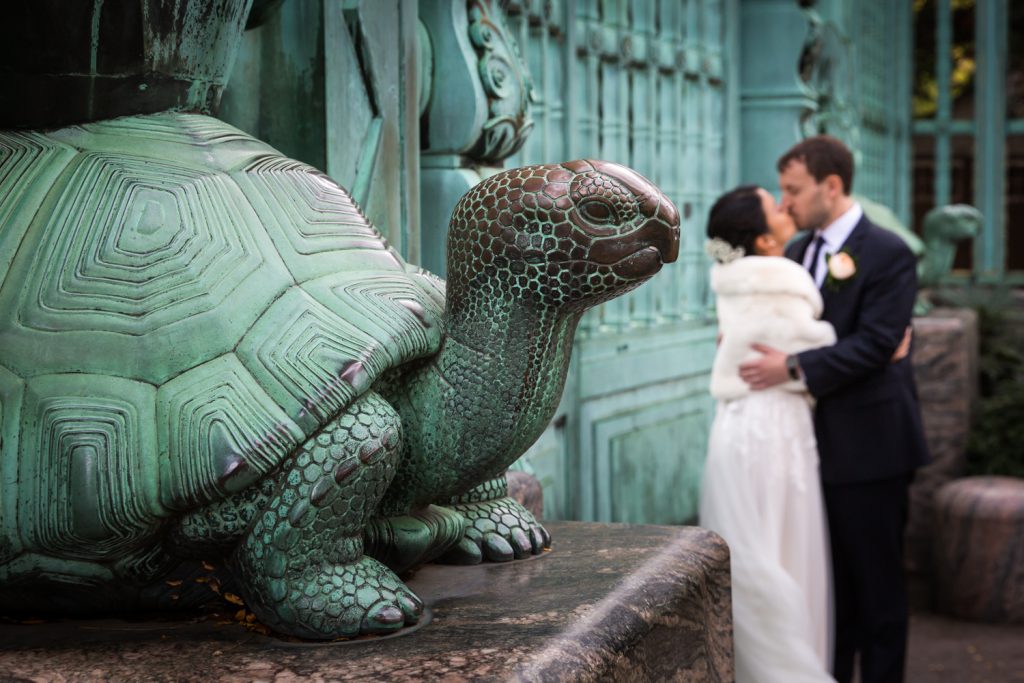 Green turtle of Bronx Zoo gates with bride and groom kissing in background