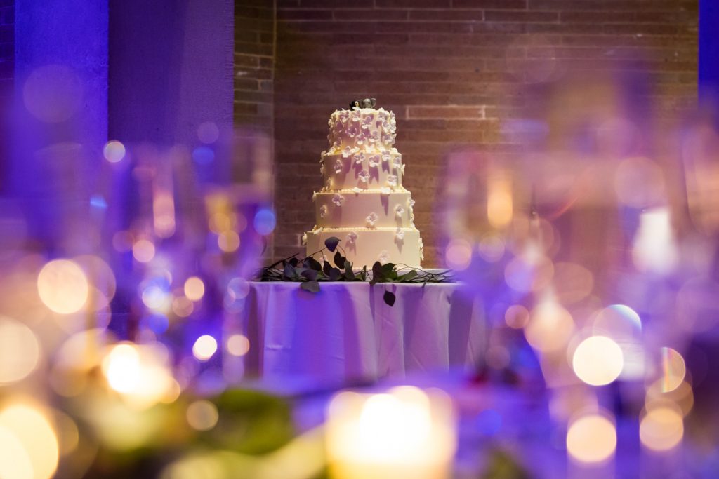 Wedding cake seen through lights at Bronx Zoo wedding