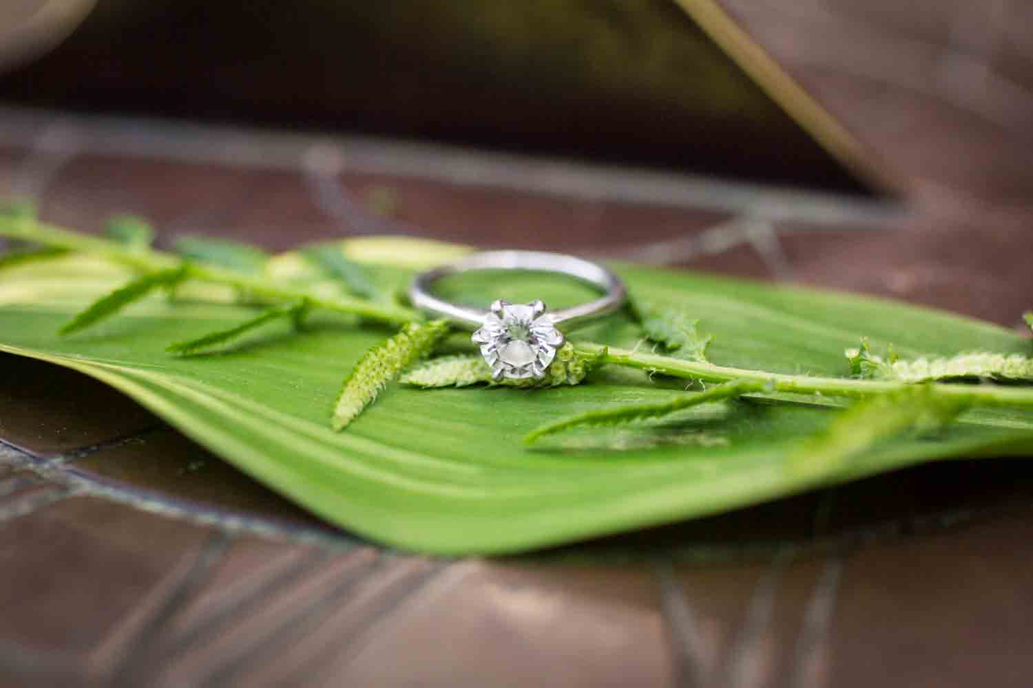 Engagement ring on leaf