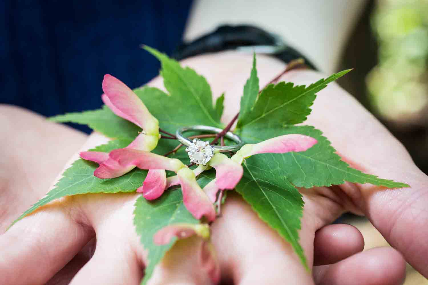 Hands holding engagement ring on top of leaves in Shakespeare Garden engagement photos