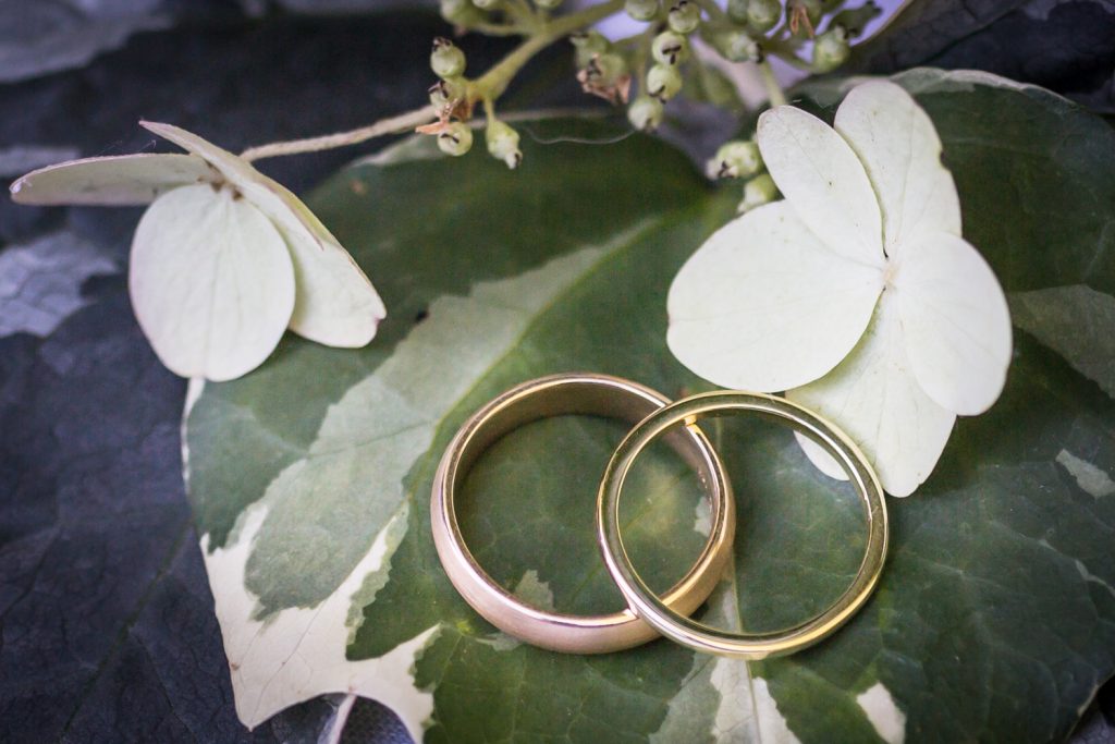 Gold wedding rings on ivy leaves for an article on how to modernize your wedding