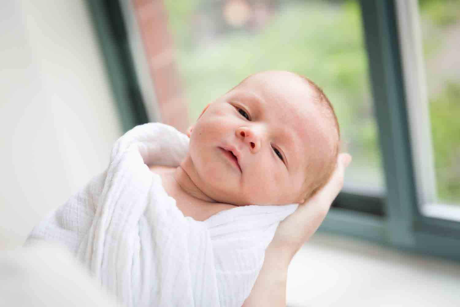 Close up of newborn baby held in front of window