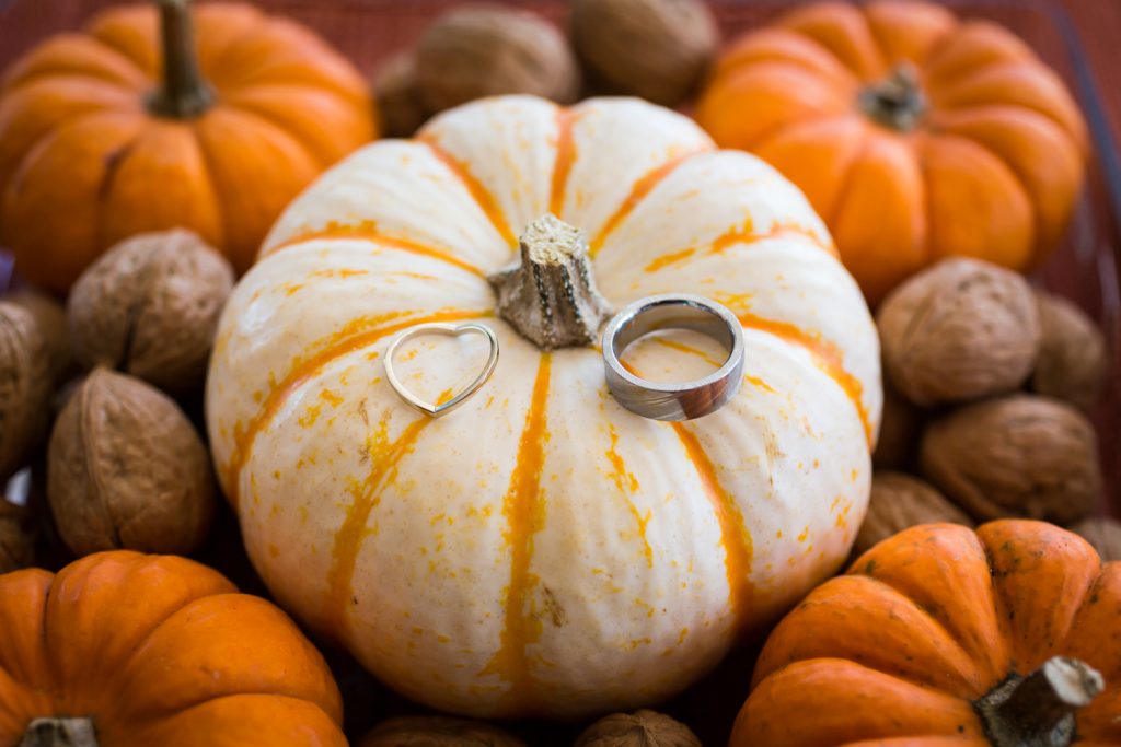 Wedding rings sitting on white pumpkin