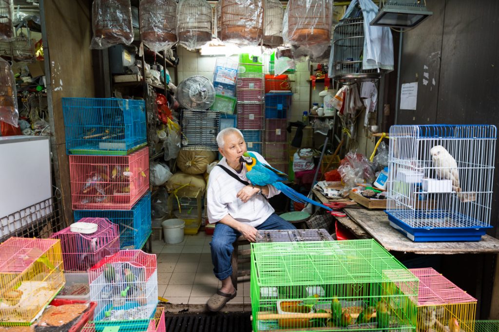 Man kissing a parrot at the Bird Market in Hong Kong