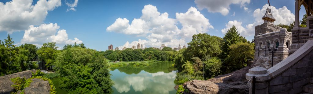 Panoramic view of Central Park from the top of Belvedere Castle