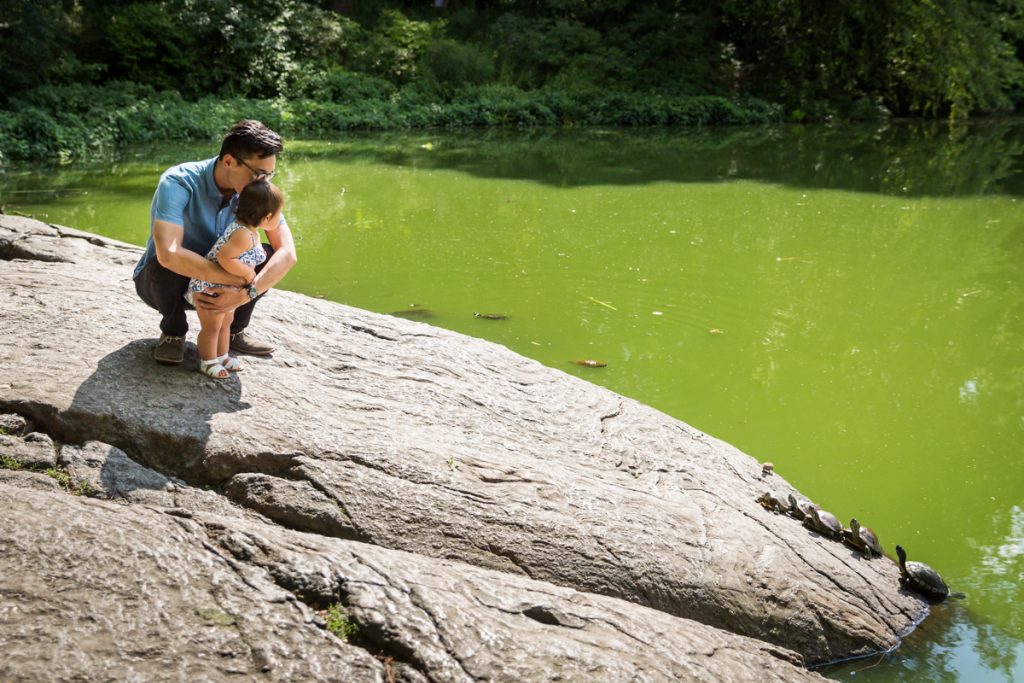 Father and daughter watching turtles at Turtle Pond in Central Park