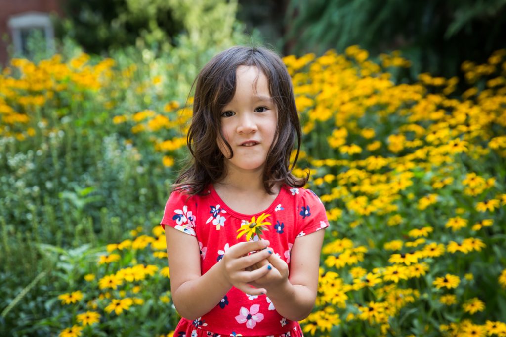 Little girl wearing red dress holding yellow daisy