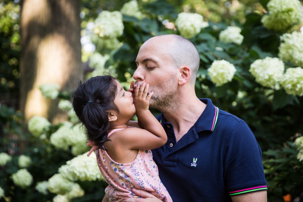 Little girl kissing father in front of hydrangea bush