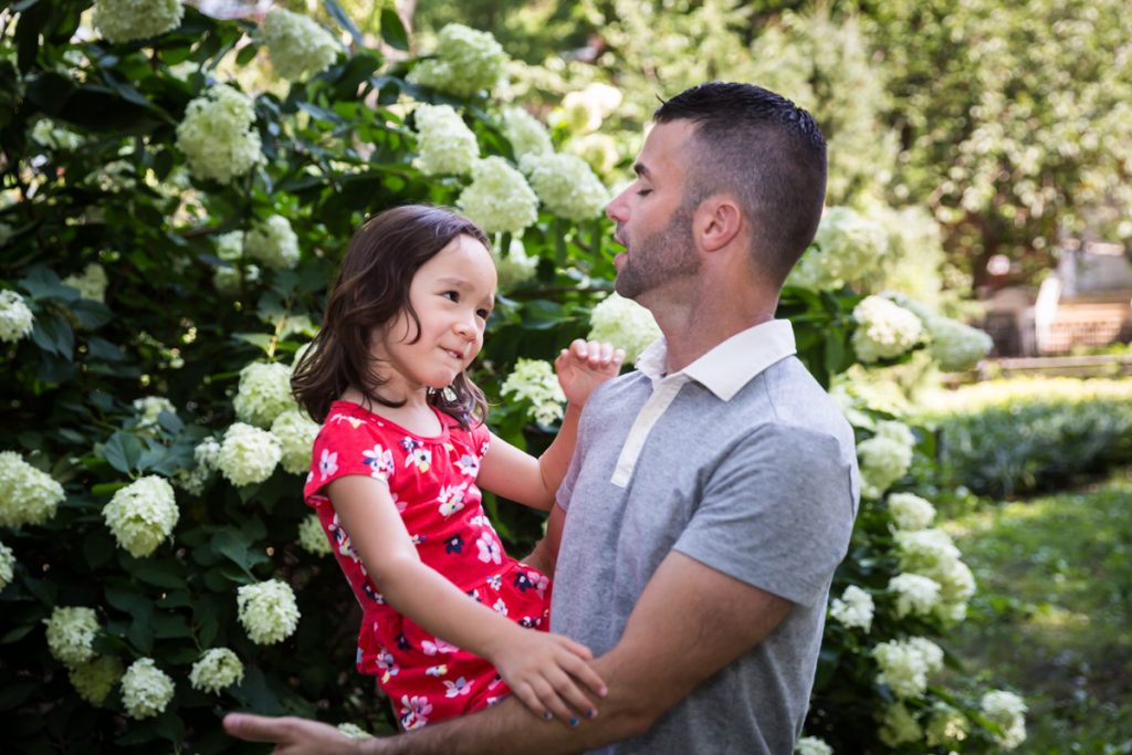 Father and daughter playing in front of hydrangea bush
