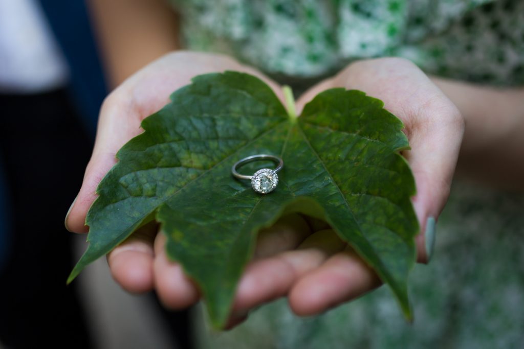 Close up of woman's hand holding engagement ring on green leaf