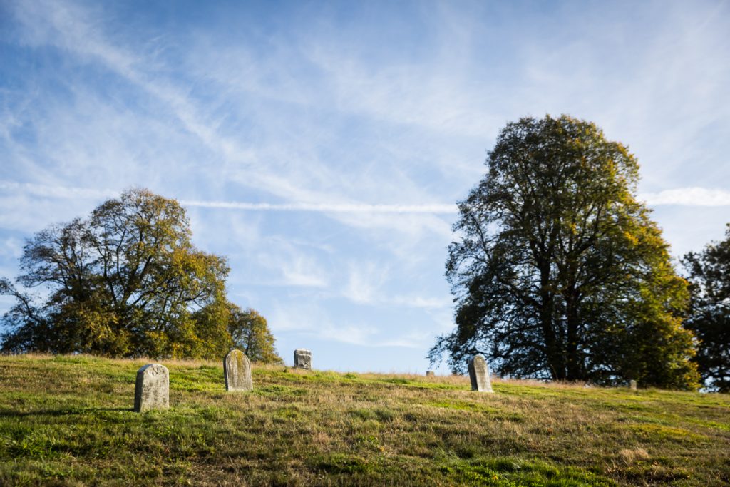 Graves in a meadow for an article on visiting Green-Wood Cemetery