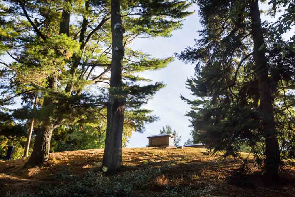 Grave on hill surrounded by trees at Green-Wood Cemetery