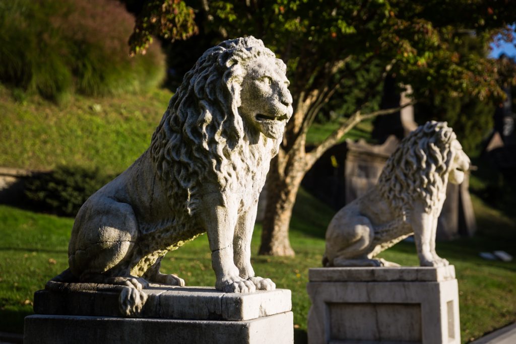 Lion statues outside the Niblo Museum