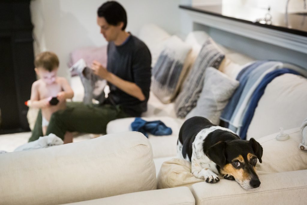 Dog on couch with father and little boy in background