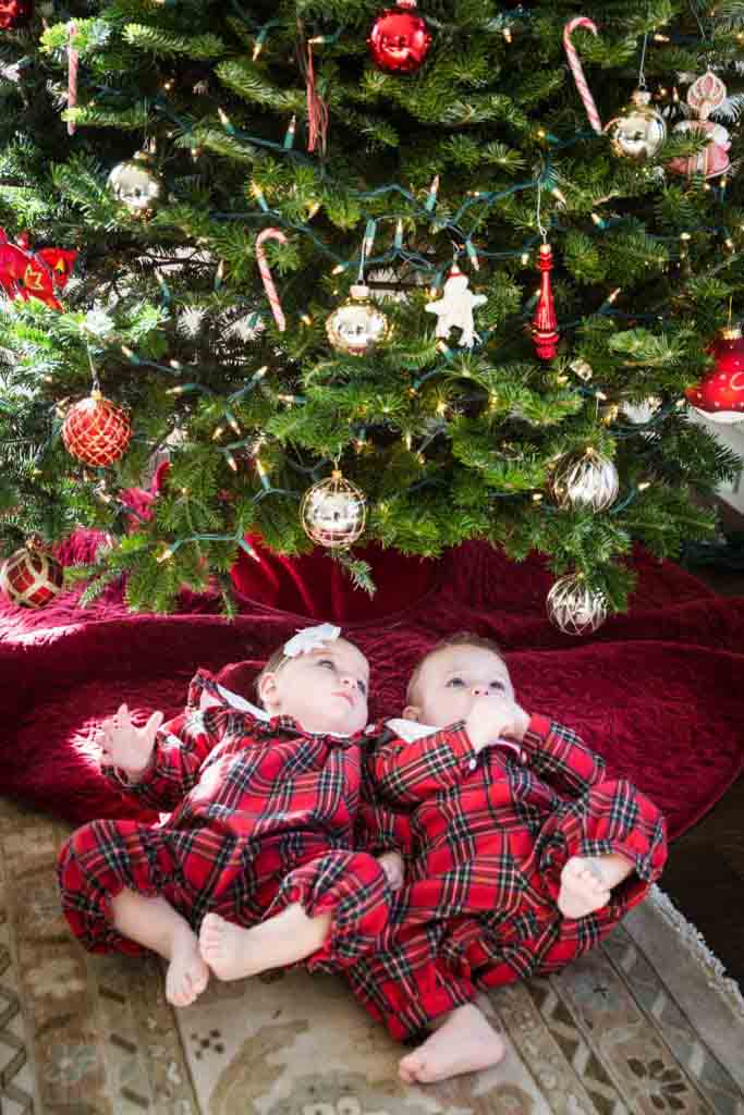 Two babies in plaid pajamas looking up at Christmas tree