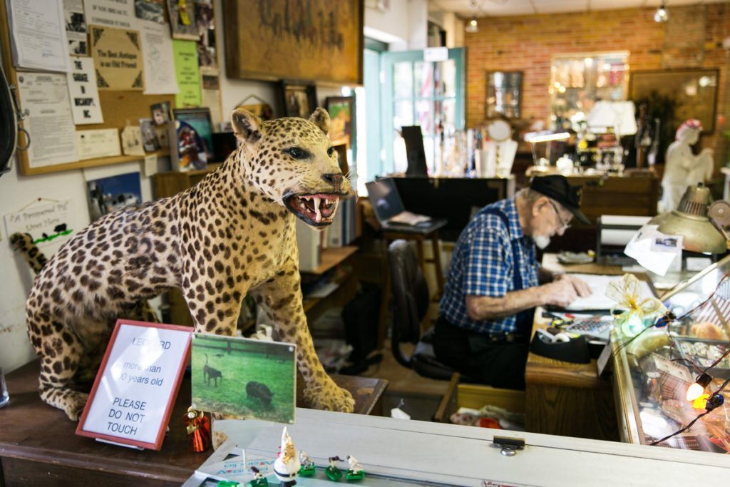 A stuffed leopard for sale in an antiques store