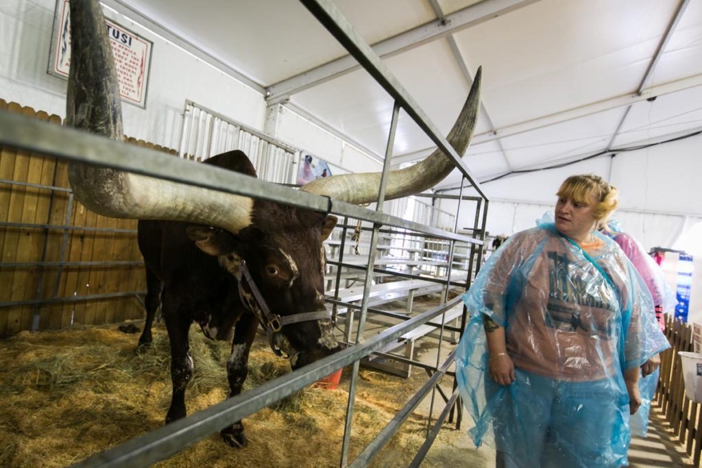The mooternity ward at the Florida State Fair, photographed by NYC photojournalist, Kelly Williams
