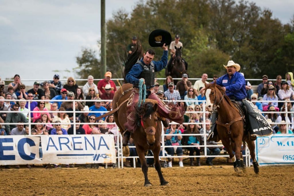 Bucking broncos at the county fair championship rodeo, by NYC photojournalist, Kelly Williams