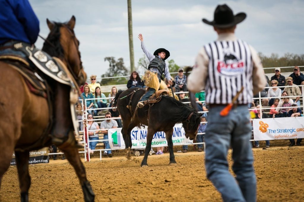 Bucking broncos at the county fair championship rodeo, by NYC photojournalist, Kelly Williams