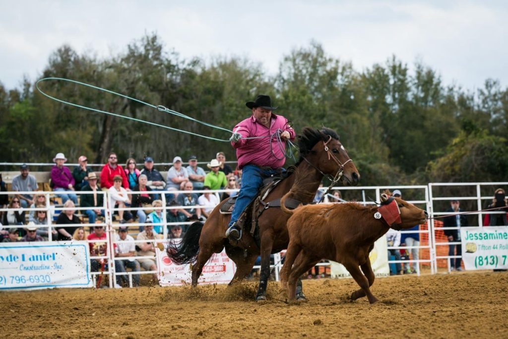 Cow roping at the county fair championship rodeo, by NYC photojournalist, Kelly Williams