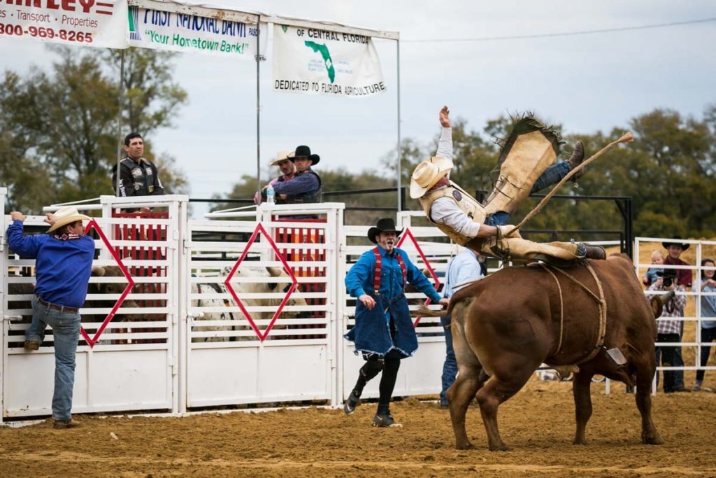 Bull riding at the county fair championship rodeo, by NYC photojournalist, Kelly Williams