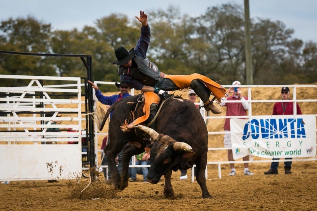 Bull riding at the county fair championship rodeo, by NYC photojournalist, Kelly Williams