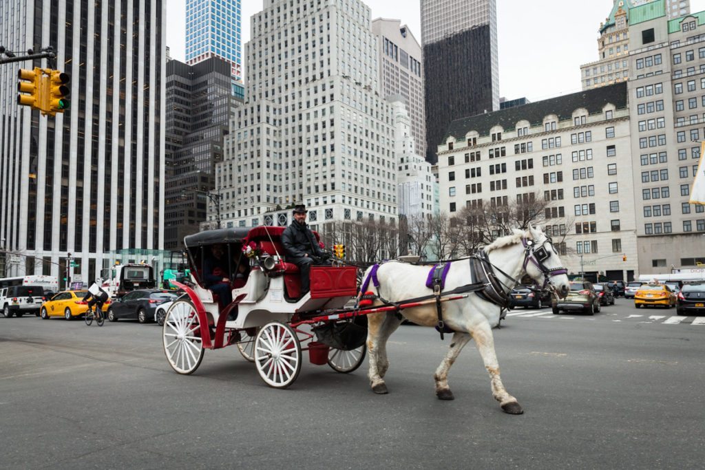 Brandon asks his girlfriend to marry him during a Central Park carriage ride, by NYC wedding photojournalist, Kelly Williams