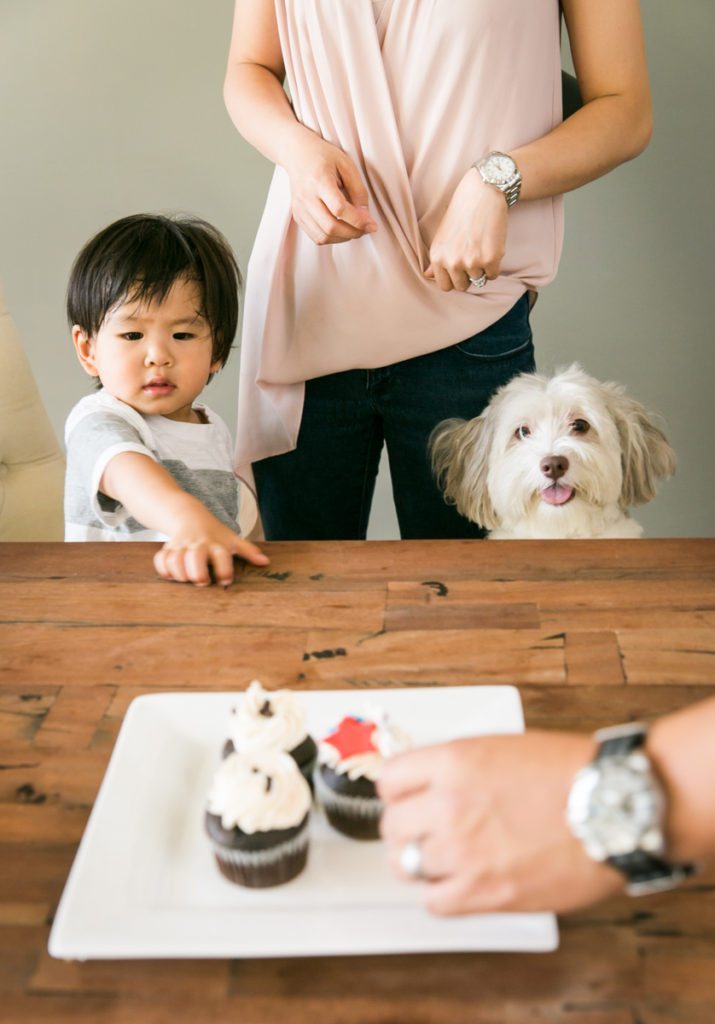 Kid with cupcake, by NYC photographer, Kelly Williams