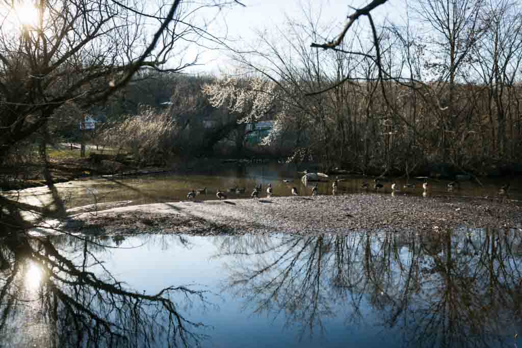 Clove Lakes Park in Staten Island, by NYC photographer, Kelly Williams