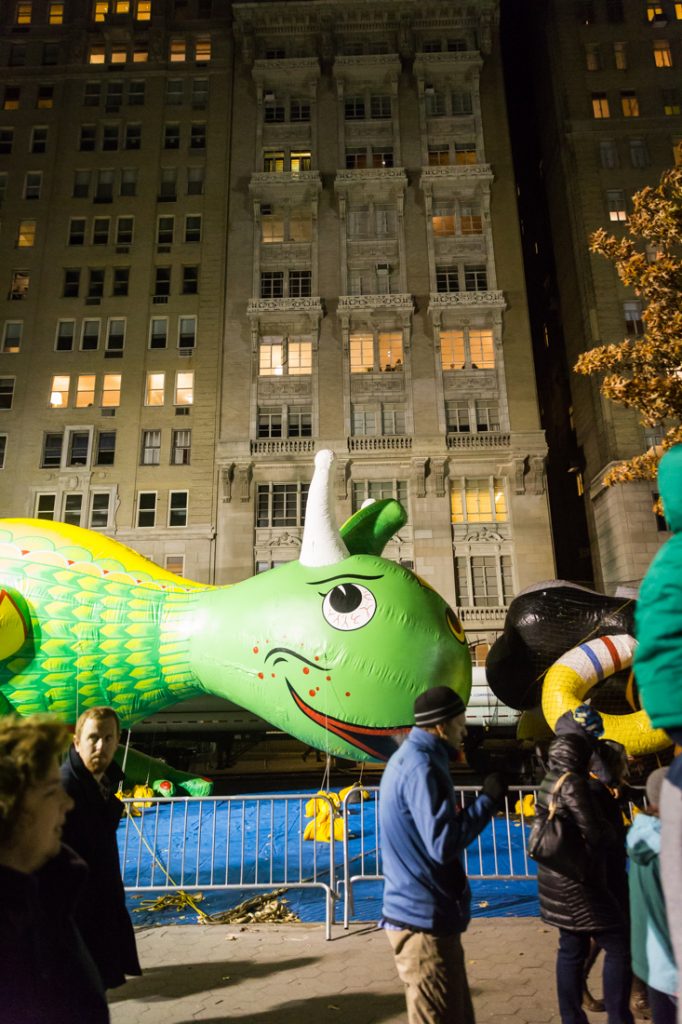 Thanksgiving Parade Inflation Celebration Kelly Williams, Photographers