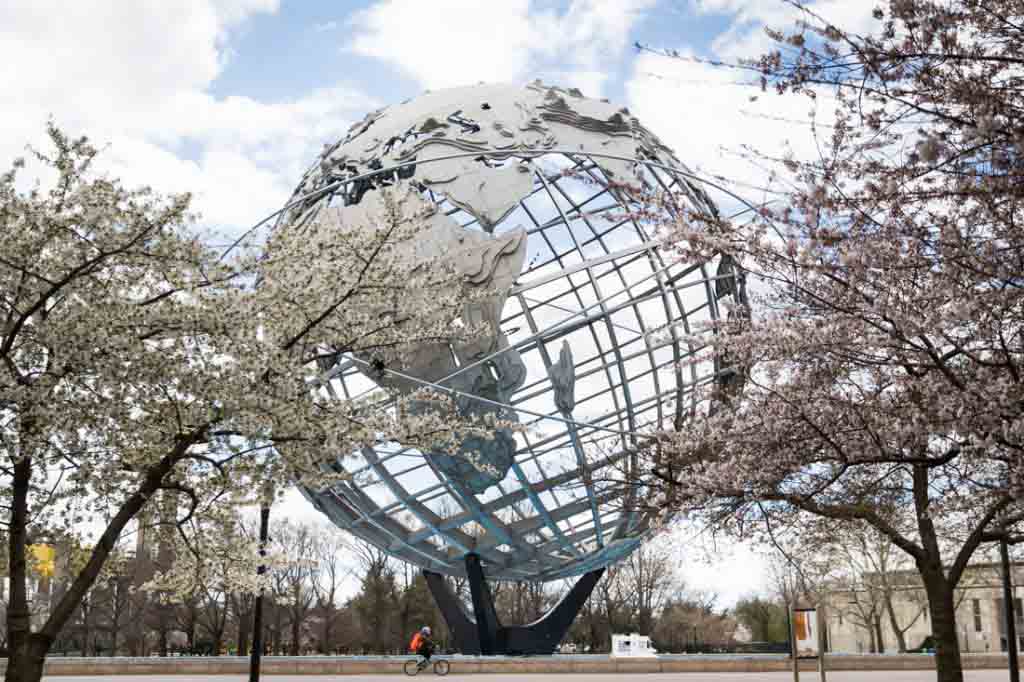 Cherry Blossoms in Queens Kelly Williams, Photographer