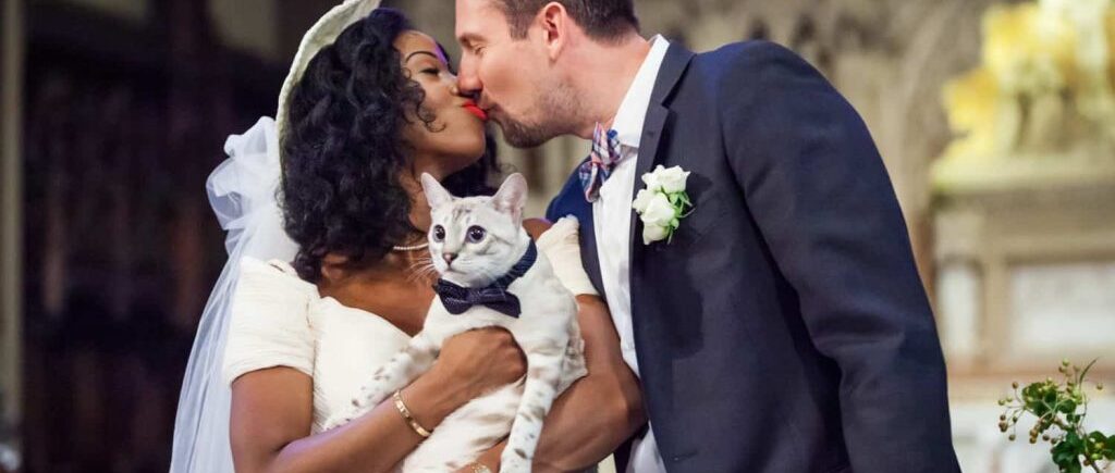 Couple kissing with bride holding cat for an article on tips for including your pet in your wedding