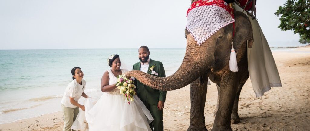 Bride and groom on the beach with elephant for an article on destination wedding planning tips