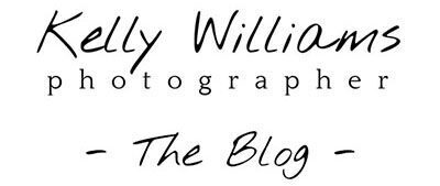 San Antonio Wedding & Family Photographer | Kelly Williams