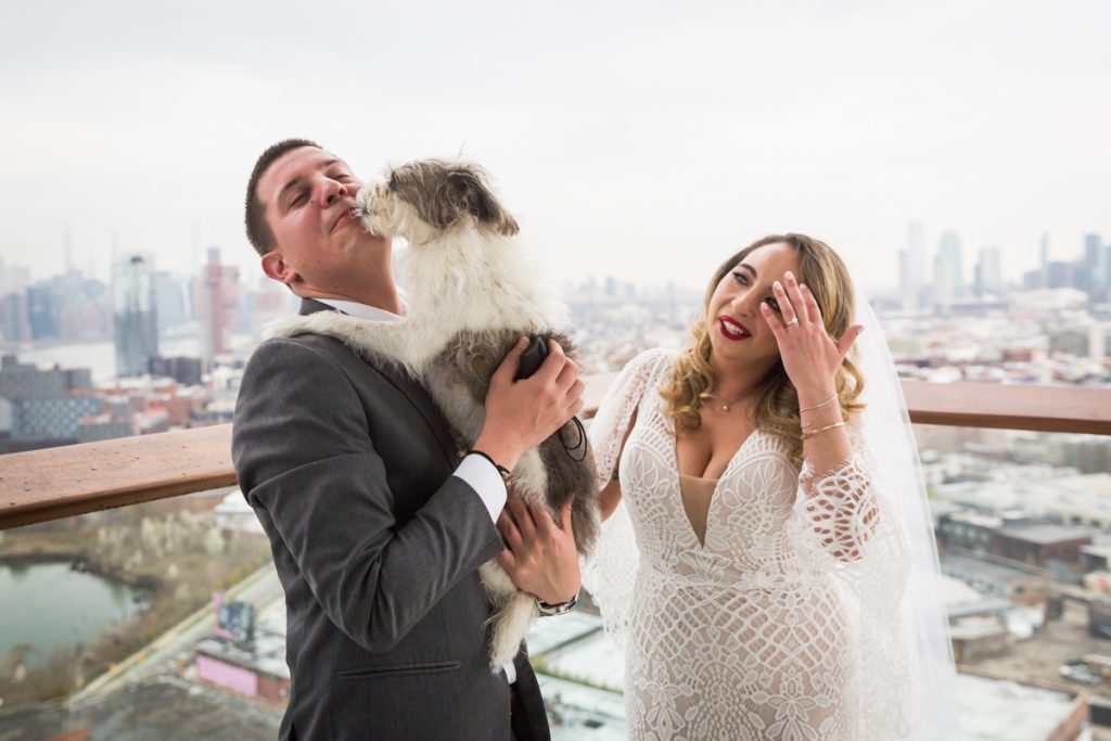 Dog licking groom with bride watching