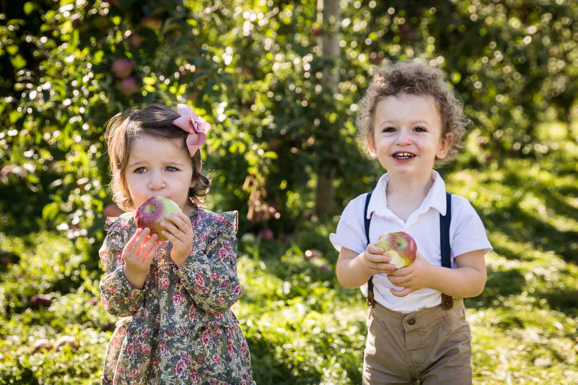 Two toddlers holding apples for an article on tips for apple picking family photos