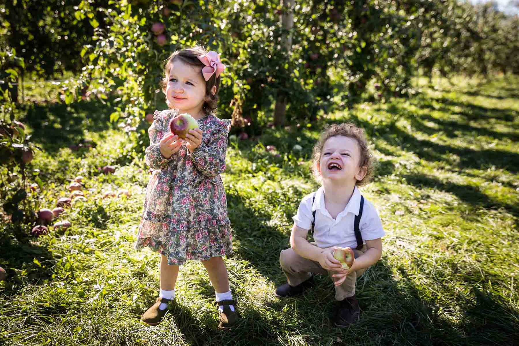 Two toddlers laughing while holding apples in an orchard