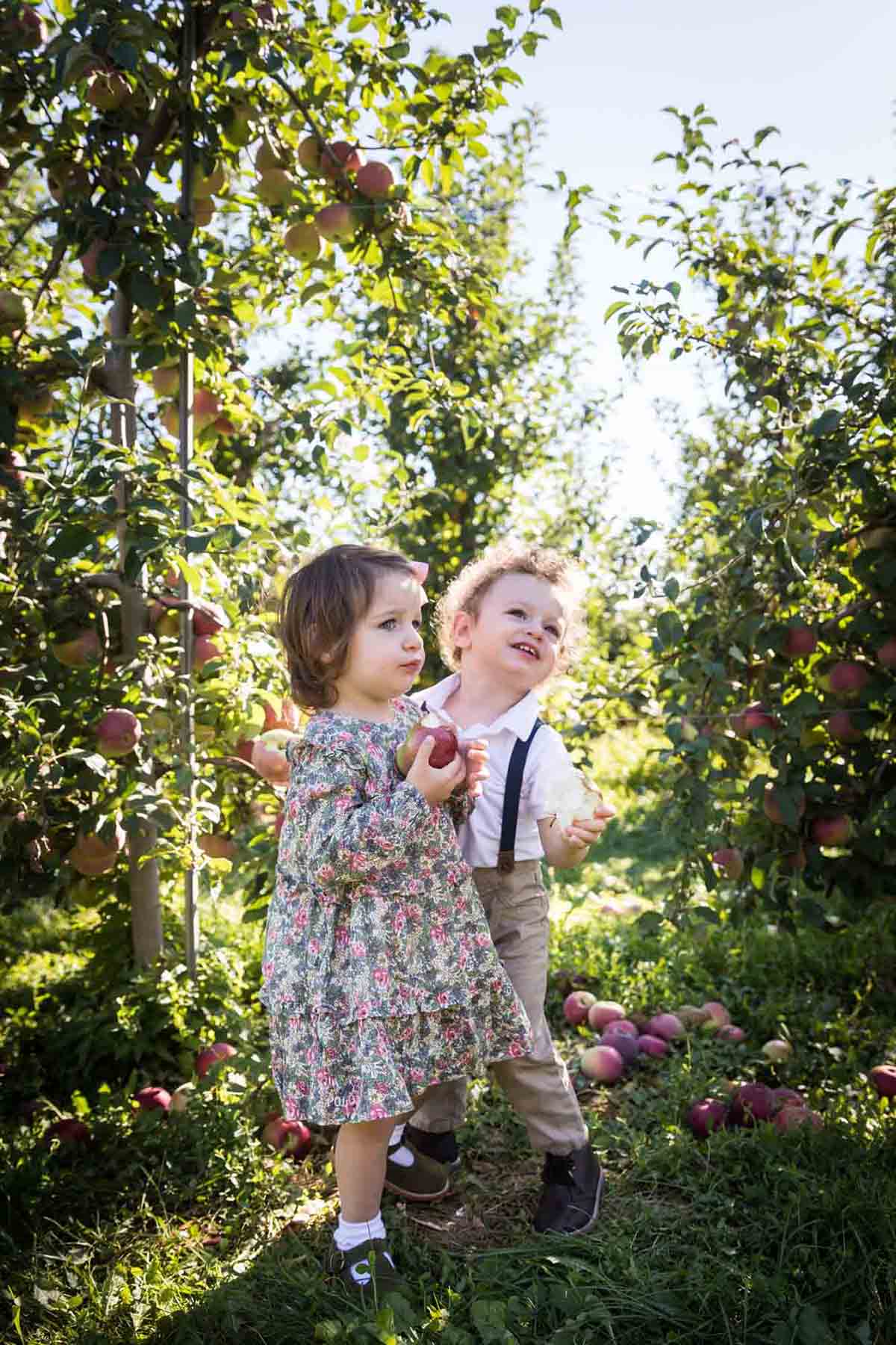 Two children in an orchard for an article on tips for apple picking family photos