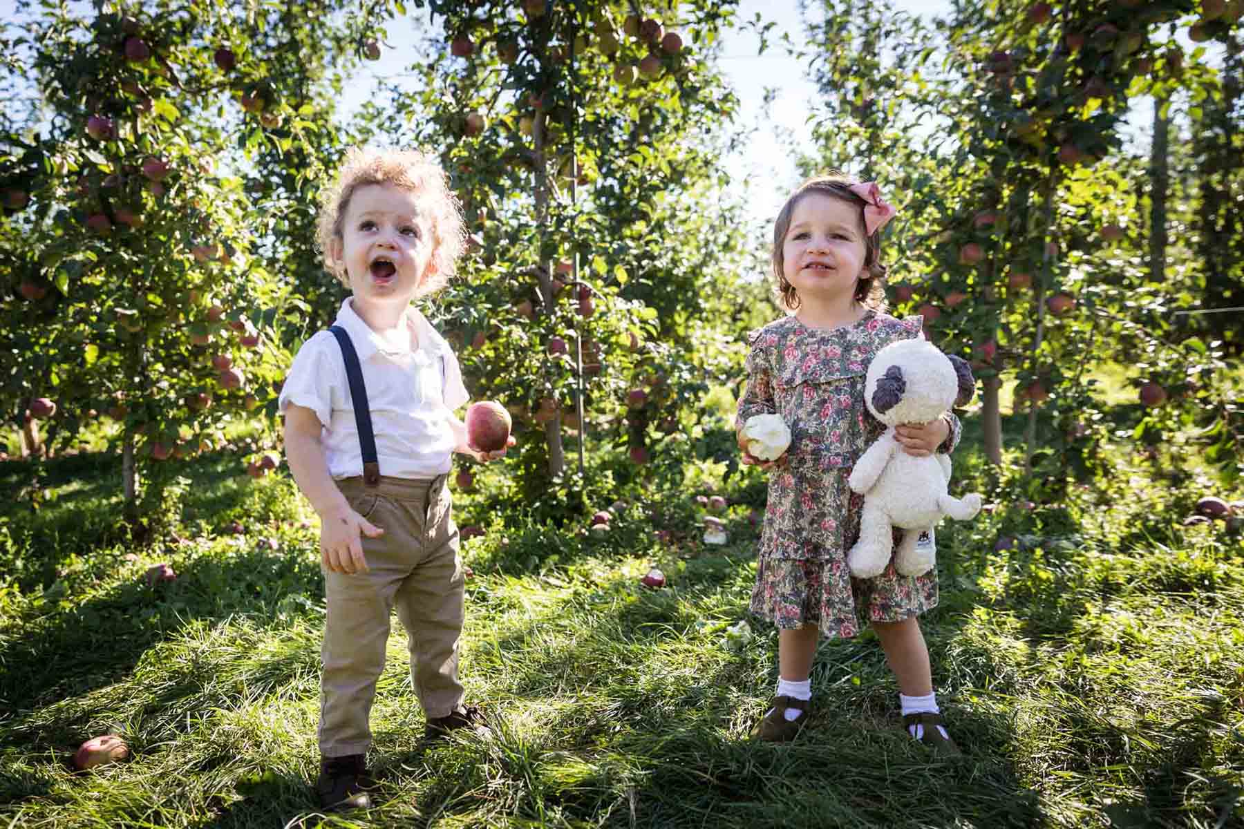 Two toddlers eating apples for an article on tips for apple picking family photos