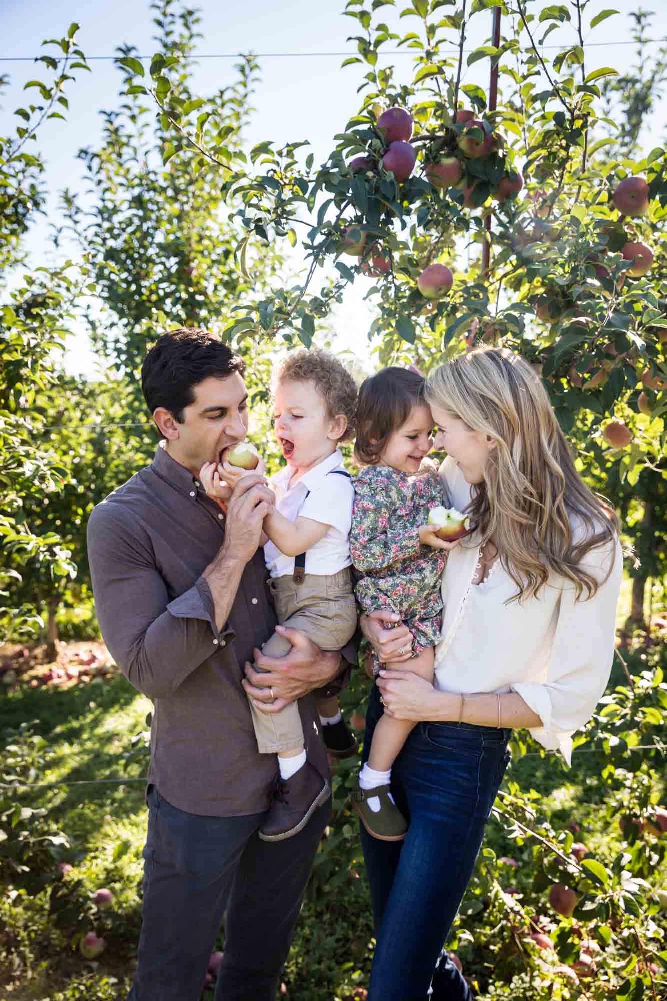 Mother and father holding two toddlers in an orchard for an article on tips for apple picking family photos