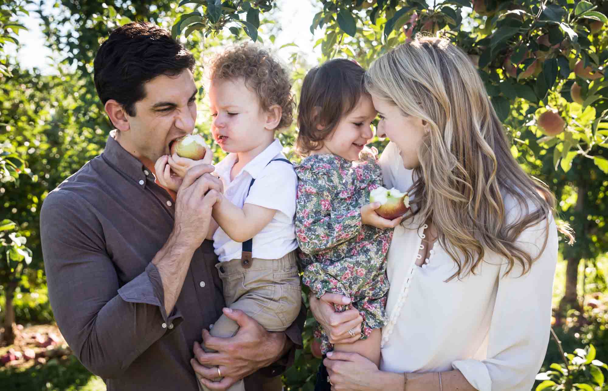 Mother and father holding toddlers in an orchard for an article on tips for apple picking family photos