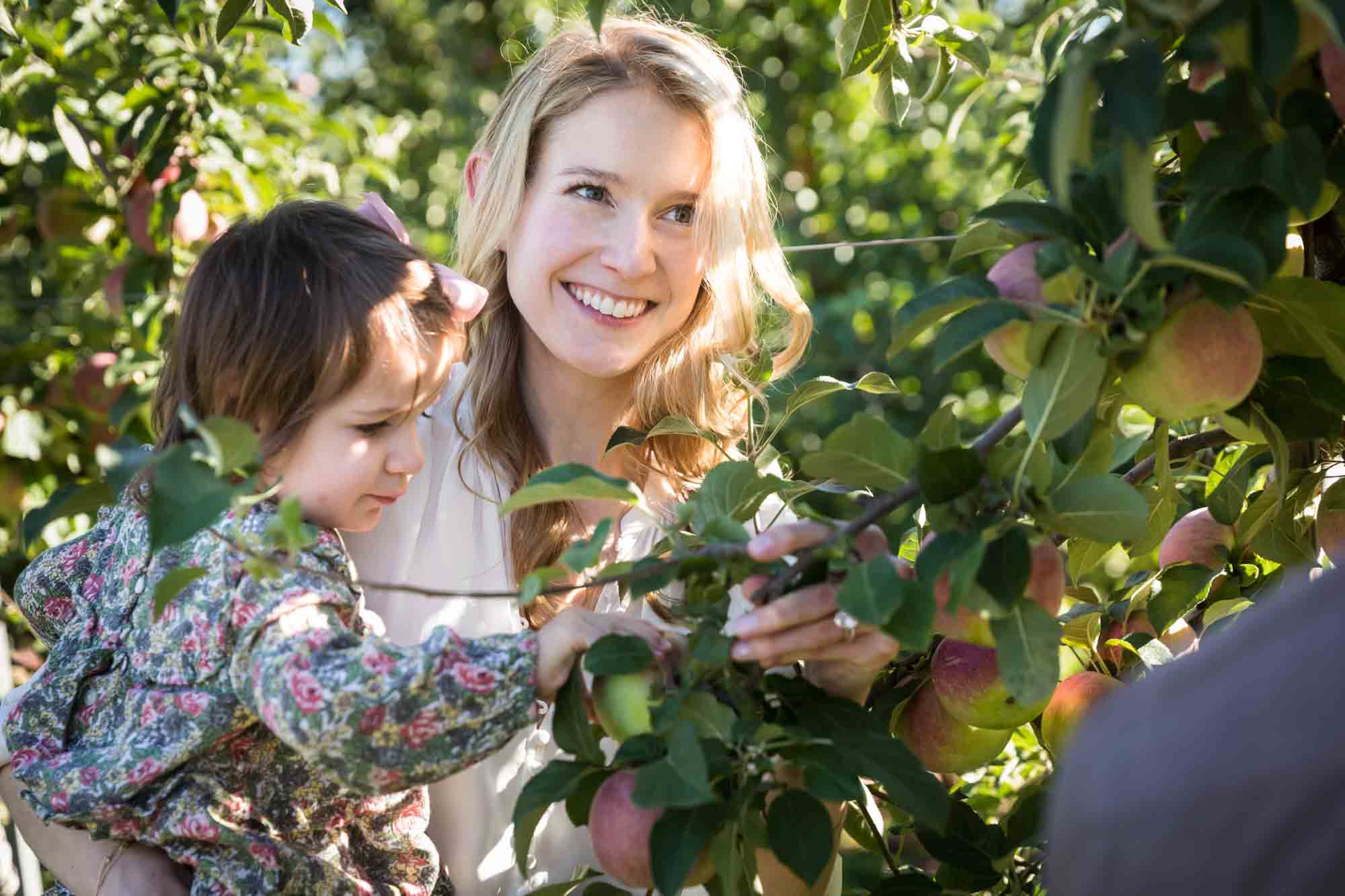 Mother holding little girl in an orchard for an article on tips for apple picking family photos